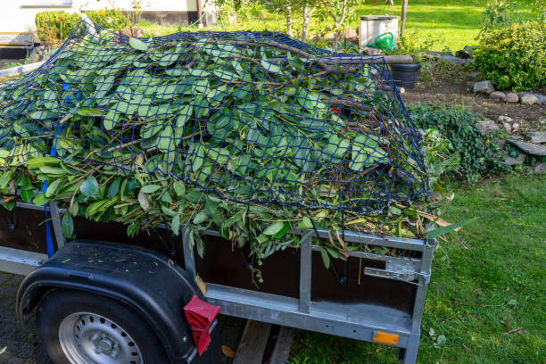 Best Moving and Downsizing Cleanouts  in Jonesville, MI